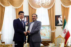 دیدار وزیر دفاع عراق با علی شمخانی