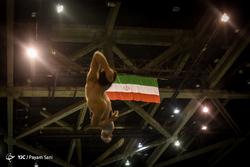 تمرین تیم ملی شیرجه ایران