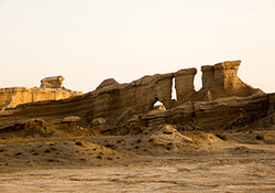 آغاز برداشت محصولات جالیزی در شهرستان دشتستان + فیلم