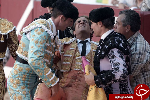 کشته شدن قهرمان مسابقات گاوبازی اسپانیا مقابل چشم تماشاچیان+ تصاویر