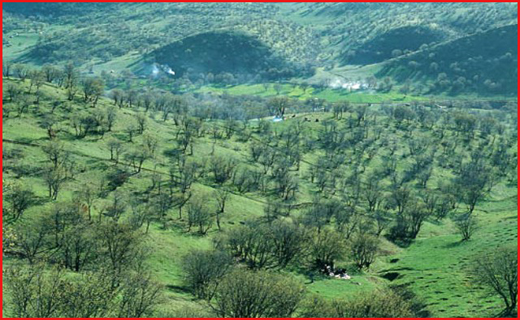 راهنمای سفر به لرستان/اماکن دیدنی/هتل‌ها+ فیلم گردشگری و دانلود نقشه