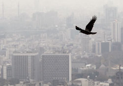 هزینه‌ سرسام آور آلودگی هوای تهران برای اقتصاد کشور + فیلم