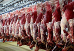 فروش گوشت قرمز با قیمت یک میلیون تومان! + صوت