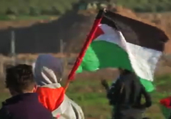 ترور خیابانی یک مرد و زن فلسطینی به دست نظامیان ارتش صهیونیستی + فیلم