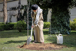 مراسم روز درختکاری در شیراز