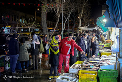 صید ماهی استخوانی در مازندران‎