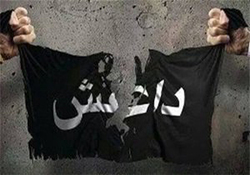 کشف زندان‌های انفرادی داعش در الحجر الاسود + فیلم