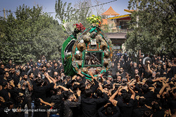 آیین سنتی عزاداری عاشورای حسینی در بوشهر