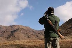 مجروح شدن محیط‌بانان در درگیری با شکارچیان غیرمجاز در کوهسرخ کاشمر + فیلم