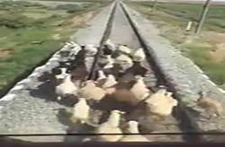 آتش سوزی قطار سریع السیر روی ریل راه آهن + فیلم