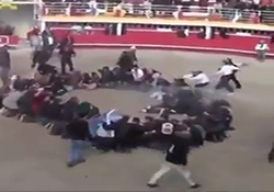 زجرکش کردن یک گاو در مراسم گاوبازی + فیلم