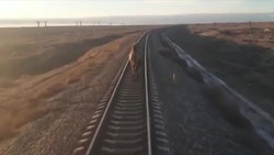 زنده ماندن مرد سر به هوا پس از تصادف با قطار + فیلم