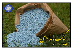 بانکی که این بار به جای پول، بذر برنج در آن مبادله می شود + فیلم