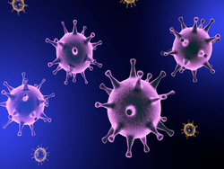 ویروس ترس خطرناک‌تر از ویروس کرونا + فیلم