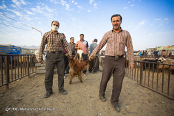 عید قربان در روستای غلام ویس