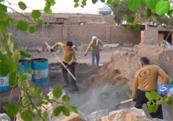درخت‌هایی که قرار است سایه ریزگرد را از سر مردم خوزستان کوتاه کند + فیلم