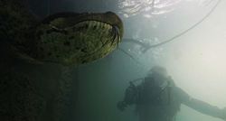 پیدا شدن جنازه غواصان در زیر آب پس از چند سال + فیلم