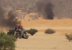 فیلمی جدید از تعداد قابل توجه اُسرای خلع سلاح شده سعودی در یمن