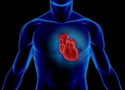 چند راهکار ساده برای جلوگیری از ابتلا به بیماری‌های قلبی - عروقی + فیلم