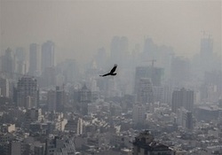 طرحی برای کاهش آلودگی که هوا را آلوده‌تر می‌کند! + صوت