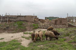 بارش باران و آبگرفتگی معابر - اهواز