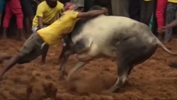 هجوم باورنکردنی کشاورزان هندی به دهلی با استفاده از تراکتور + فیلم