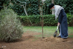 کاشت نهال به مناسبت روز درختکاری - وردیج‎