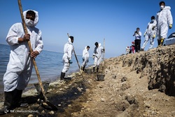 پاکسازی ساحل دریا - بوشهر
