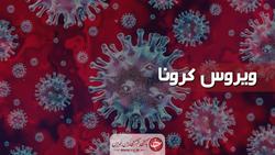 کاهش چشمگیر آمار جانباختگان ویروس کرونا در تهران + فیلم