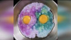 روش جالب شانه زدن تخم‌مرغ‌ها + فیلم