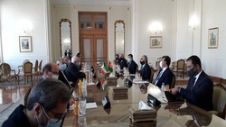 دیدار رئیس شورای عالی مصالحه افغانستان با محمد جواد ظریف