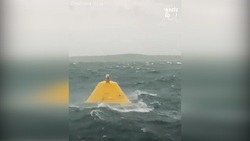 پهپادی که قابلیت حرکت در زیر آب را هم دارد! + فیلم