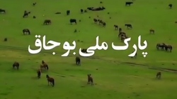 پارک ملی بوجاق، نخستین پارک ملی خشکی - دریایی ایران + فیلم