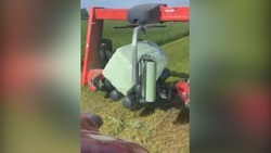 ماشین اتوماتیکی که کار کشاورزان را آسان کرده است + فیلم