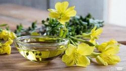 خواص چای سبز از نظر طب سنتی + فیلم