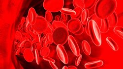 علائم و راه های درمان بالا یا پایین بودن پلاکت خون چیست؟ + فیلم