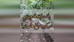 معرفی روستای صلوات آباد در شهرستان سنندج + فیلم