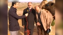 نجات یک شتر از داخل چاه ۹ متری روستای قاسم آباد تهرانچی + فیلم