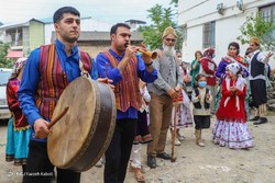 برداشت مرکبات در آستانه شب یلدا _ گلستان