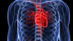 موارد منع روزه داری در بیماران قلبی + فیلم