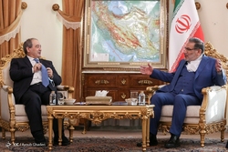 دیدار هیات حماس با دبیر شورای عالی امنیت ملی