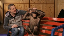 لحظات سرگرم‌کننده با شامپانزه‌ها + فیلم