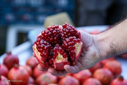 دورهمی شب یلدا