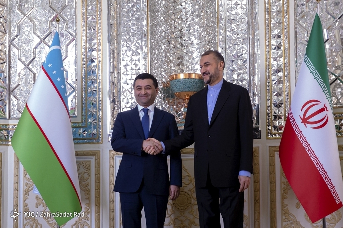 دیدار امیرعبداللهیان و وزیر خارجه ارمنستان در تهران
