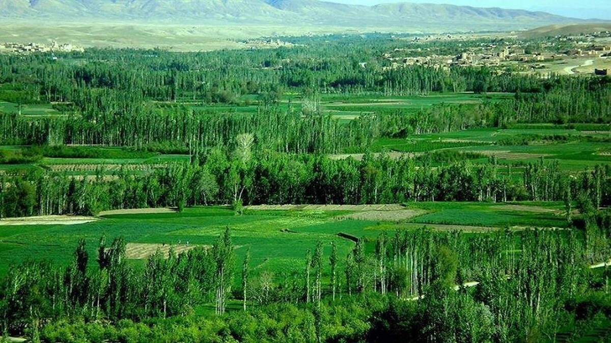 نمایی از اسکله بریس در چابهار + فیلم