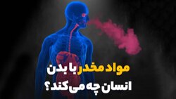 عاقبت سگ پلیس که هدف ضربات چاقوی یک مهاجم قرار گرفت + فیلم