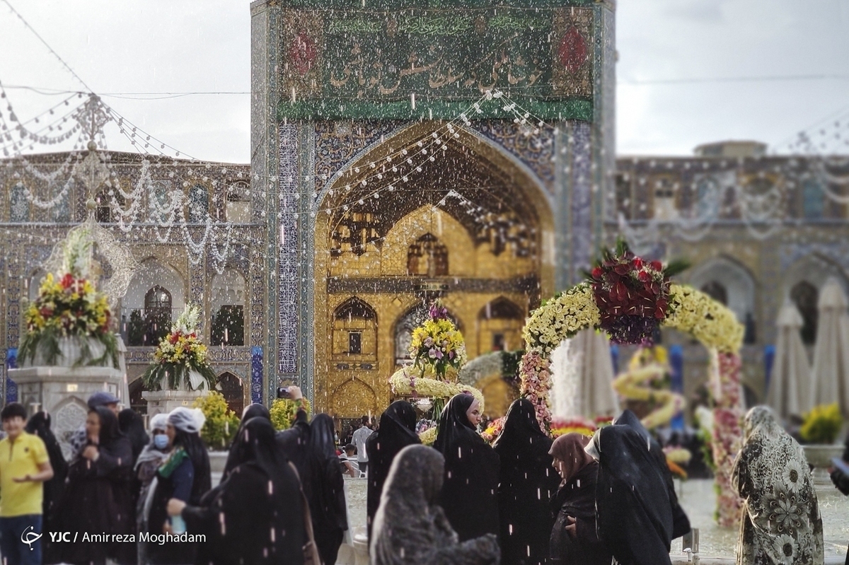 عکس برگزیده هفته/ ۲۸ خرداد تا ۳ تیر