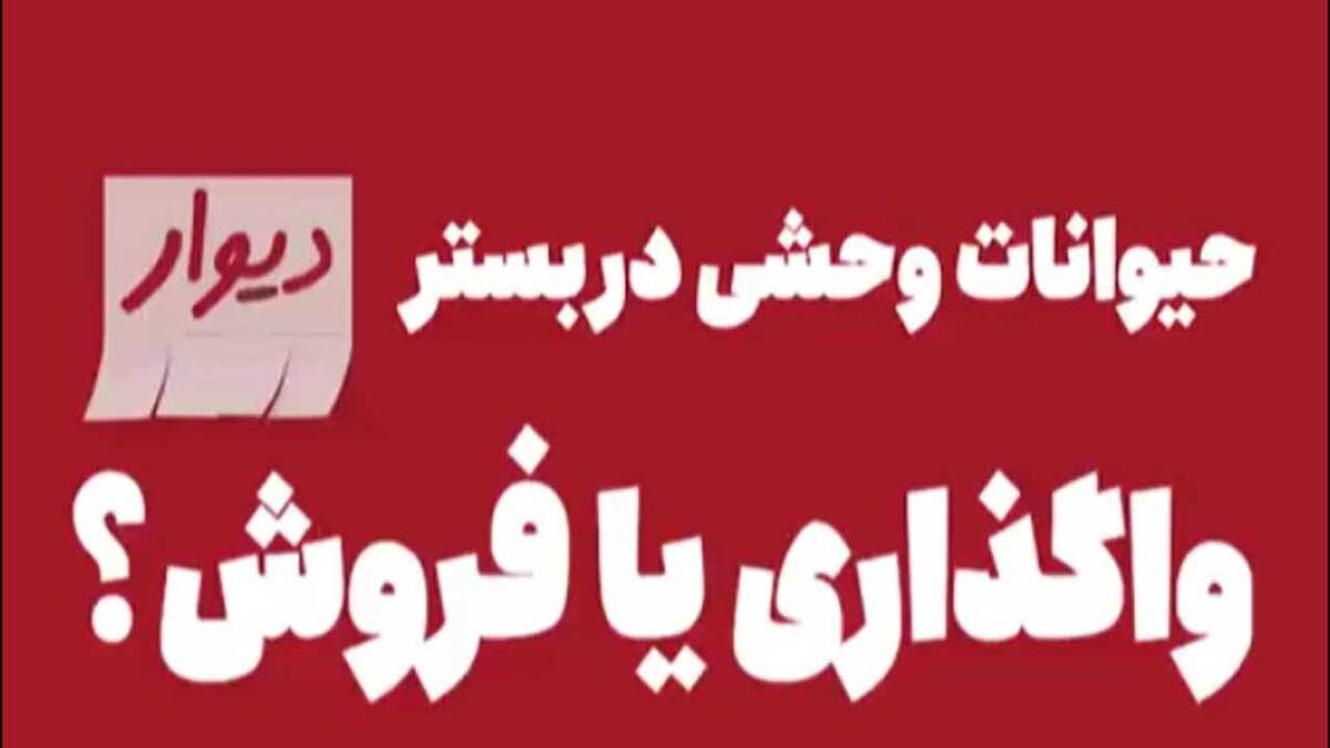 سگی که ویلچر صاحب خود را هل می‌دهد + فیلم