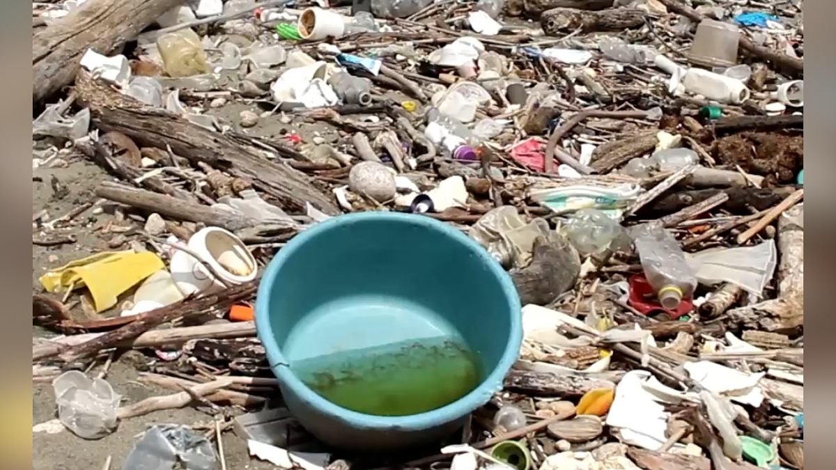 پاکسازی رود نیل از زباله + فیلم