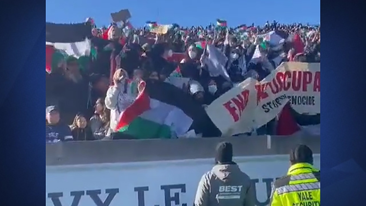 ورود هوادار فلسطین به زمین مسابقه فینال جام جهانی کریکت + فیلم